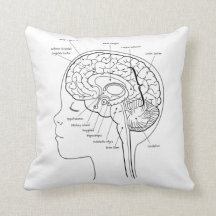 What's in Your Brain Pillow