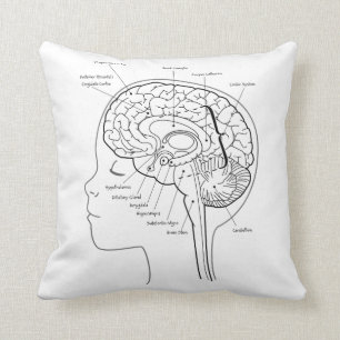 What's in Your Brain Pillow