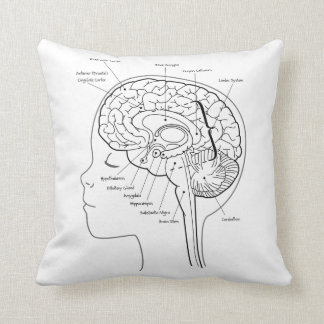 What's in Your Brain Pillow