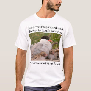 What's Killing Roseate Terns? by RoseWrites T-Shirt