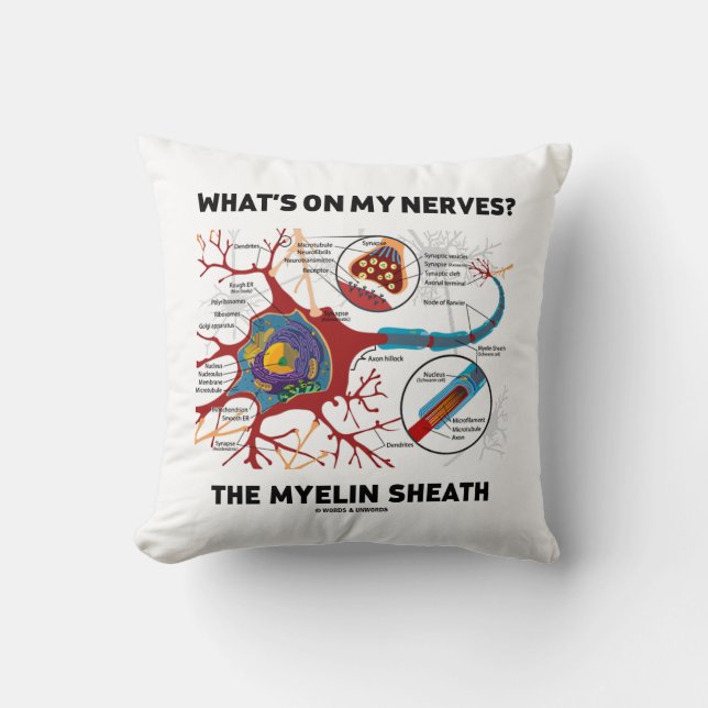 What's On My Nerves? The Myelin Sheath Cushion (Front)