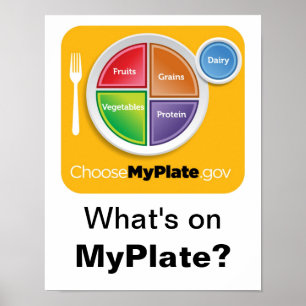What's on MyPlate? Poster - Orange on White