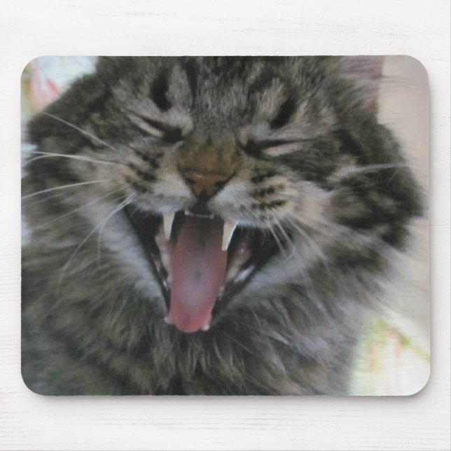 What's So Funny?  I'm a cat you're not Mouse Pad (Front)