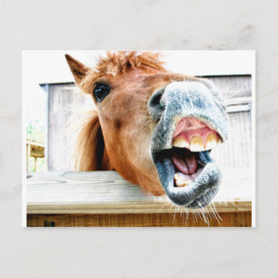 What's so funny? postcard