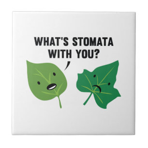 What's Stomata With You? Ceramic Tile
