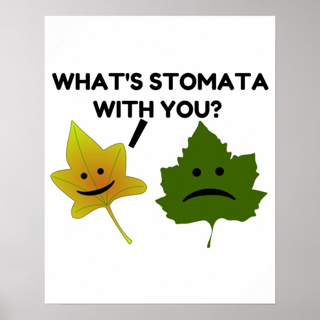 What's Stomata With You Poster (Front)