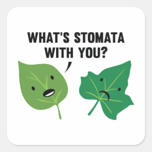 What's Stomata With You? Square Sticker