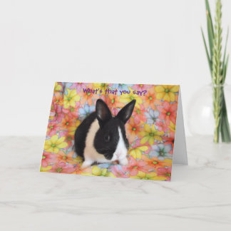 What's that you say?  Bunny all ears note card