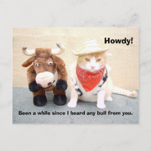 What's the latest bull? postcard