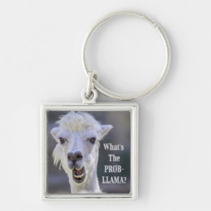 What's The Prob- Llama ? Cute Funny LLAMA Key Ring