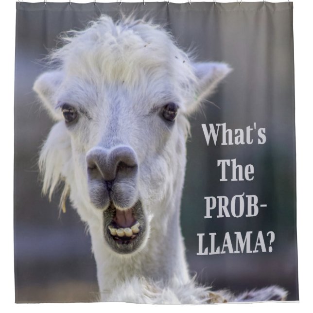 What's The Prob- Llama ? Cute Funny LLAMA Shower Curtain (Front)