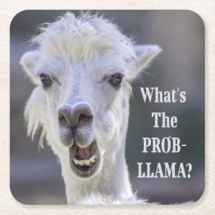 What's The Prob- Llama ? Cute Funny LLAMA Square Paper Coaster