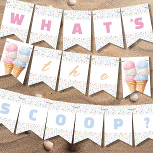 Whats The Scoop Ice Cream Gender Reveal Party Bunting