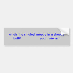 whats the smalest muscle in a sheeps butt?     ... bumper sticker