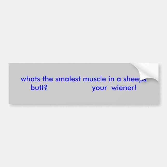 whats the smalest muscle in a sheeps butt?     ... bumper sticker (Front)