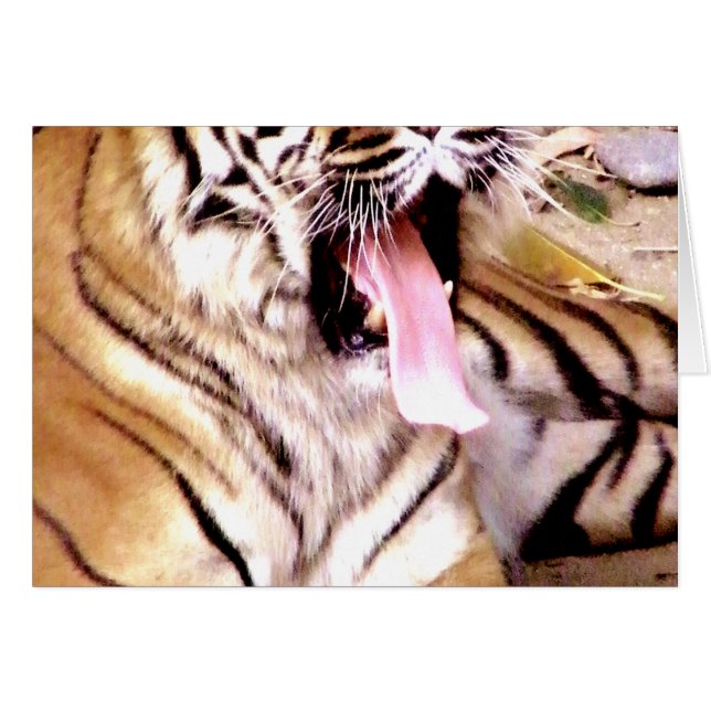 What's up_ (Front Horizontal)