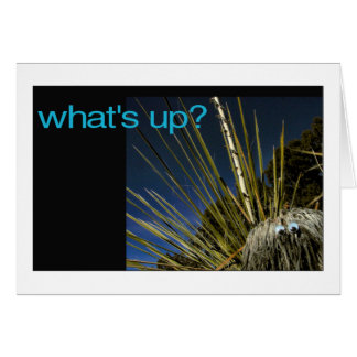what's up?