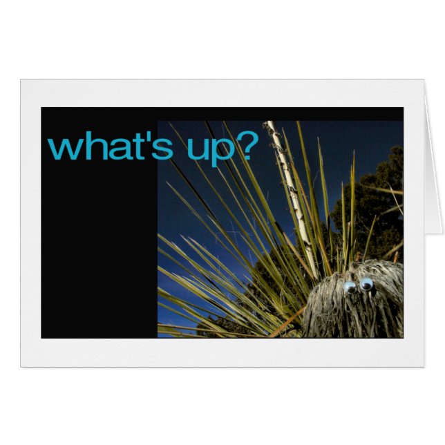 what's up? (Front Horizontal)