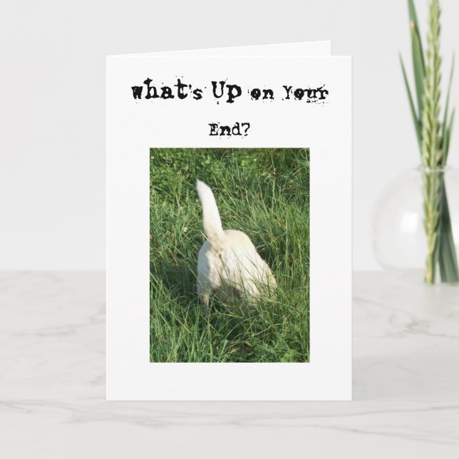 What's Up Card (Front)