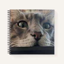 What's up, Cat? Square Spiral Notebook