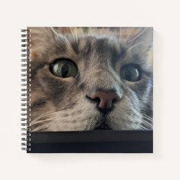 What's up, Cat? Square Spiral Notebook