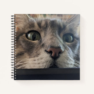What's up, Cat? Square Spiral Notebook