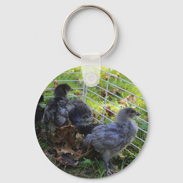 Whats Up - Chicken Butt Key Ring (Front)