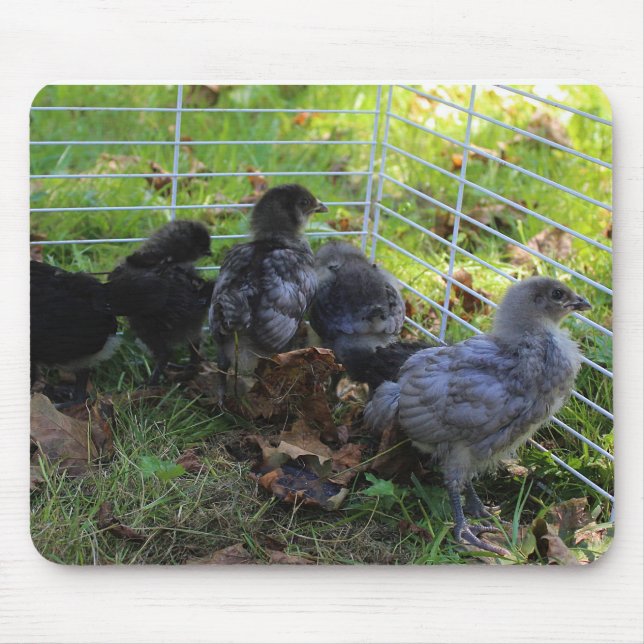 Whats Up - Chicken Butt Mouse Pad (Front)