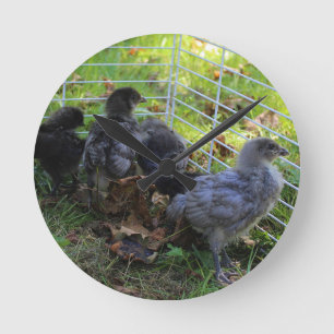 Whats Up - Chicken Butt Round Clock