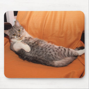What's Up? Dinner Ready? Mouse Pad