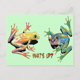 What's Up Frogs Postcard