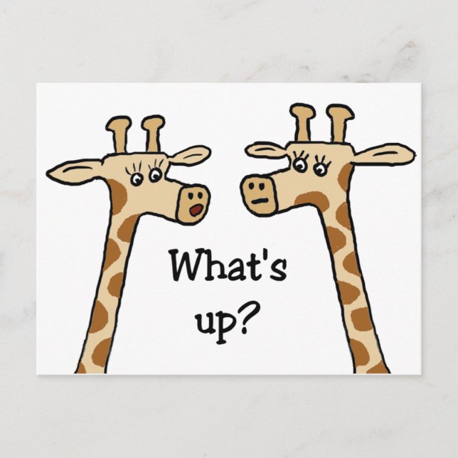 What's up? Giraffe postcards (Front)