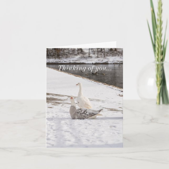 Whats Up Goose Card (Front)