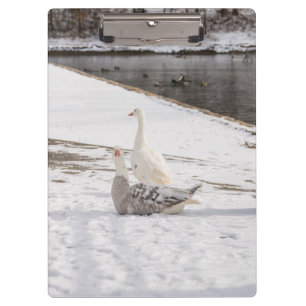 Whats Up Goose Clipboard