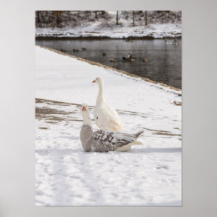 Whats Up Goose Poster