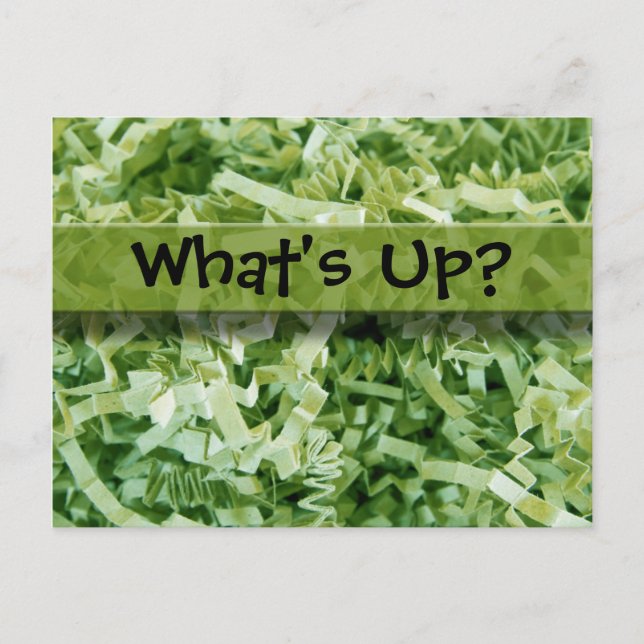 What's Up Green Crinkled Shredded Paper Photo Postcard (Front)