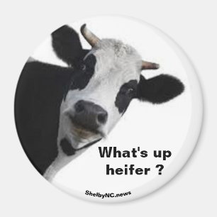 What's up heifer? magnet