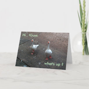 what's up ?, Hi , !Guys Card