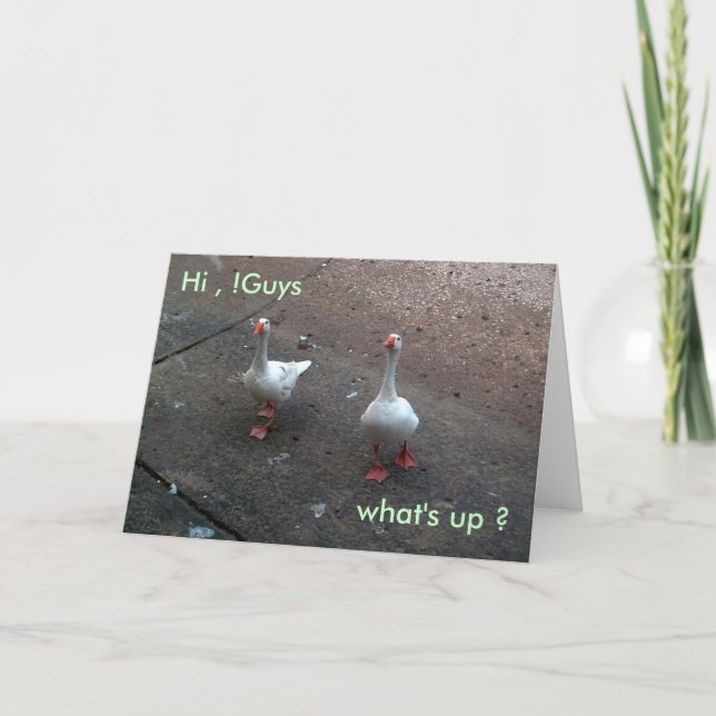 what's up ?, Hi , !Guys Card (Front)