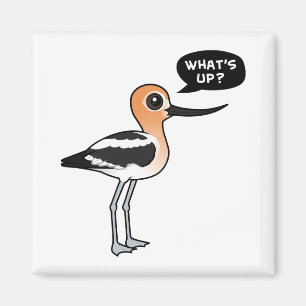 What's Up? Magnet