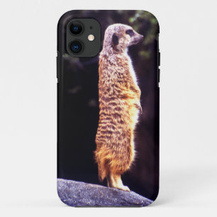 What's Up Meerkat? iPhone 11 Case