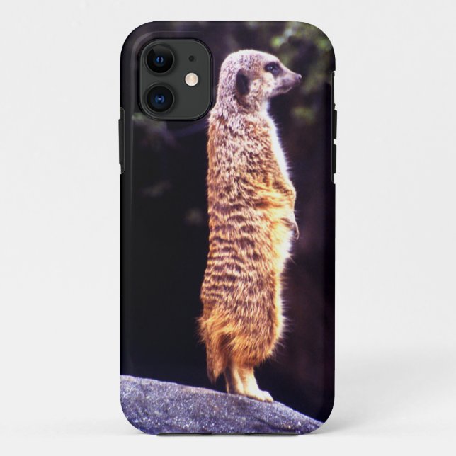 What's Up Meerkat?  Case-Mate iPhone Case (Back)