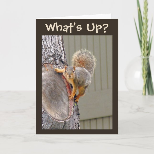 What's Up? Squirrel Photo Card (Front)