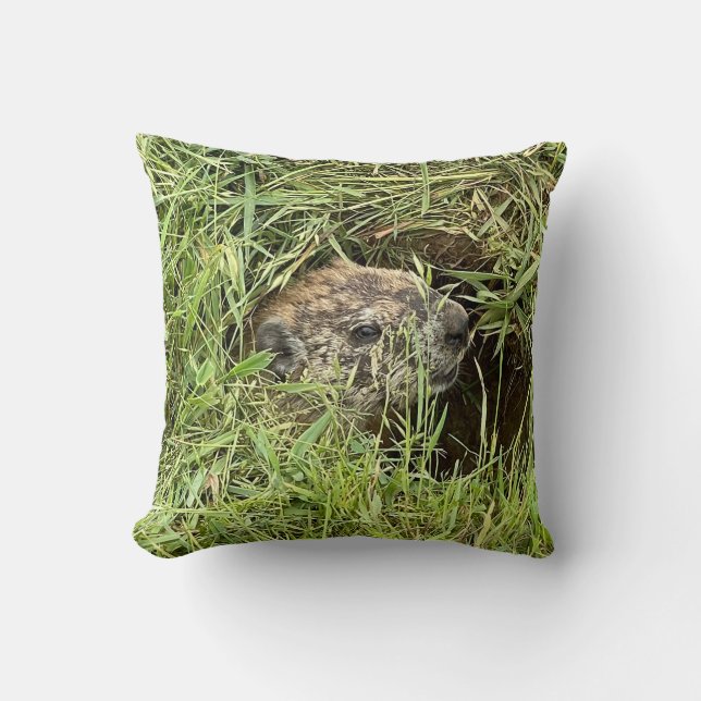 What's Up? Throw Pillow (Front)