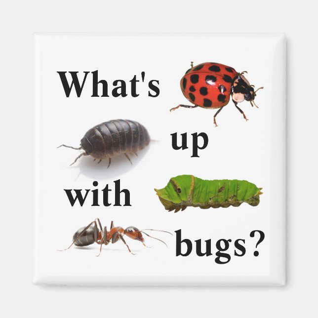 What's up with bugs? the magnet (Front)