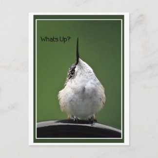 What's Up? With Text Postcard