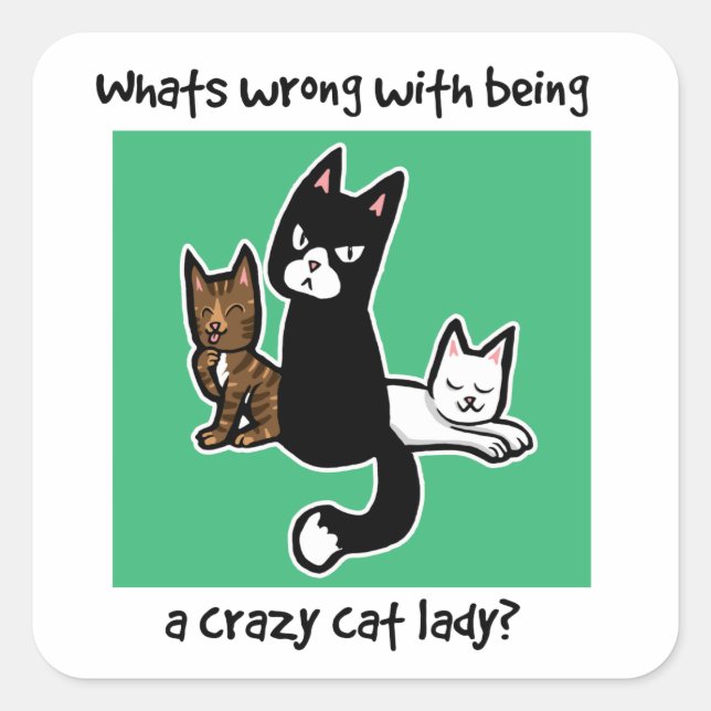 Whats wrong with being a crazy cat lady square sticker (Front)
