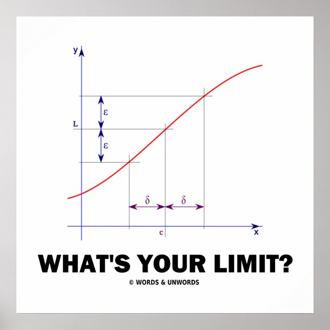 What's Your Limit? Limit Function Geek Humour Poster (Front)