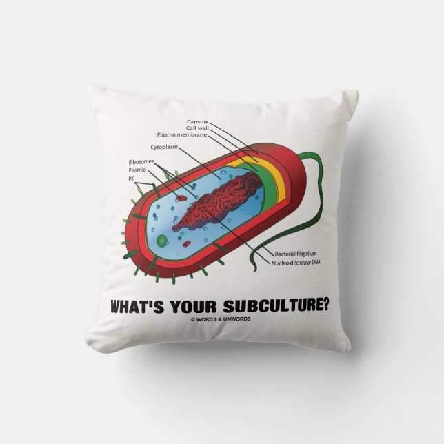What's Your Subculture? (Prokaryote Bacterium) Cushion (Front)