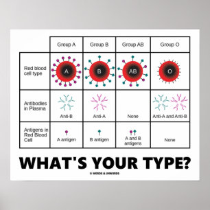 What's Your Type? (Blood Cell Groups) Poster